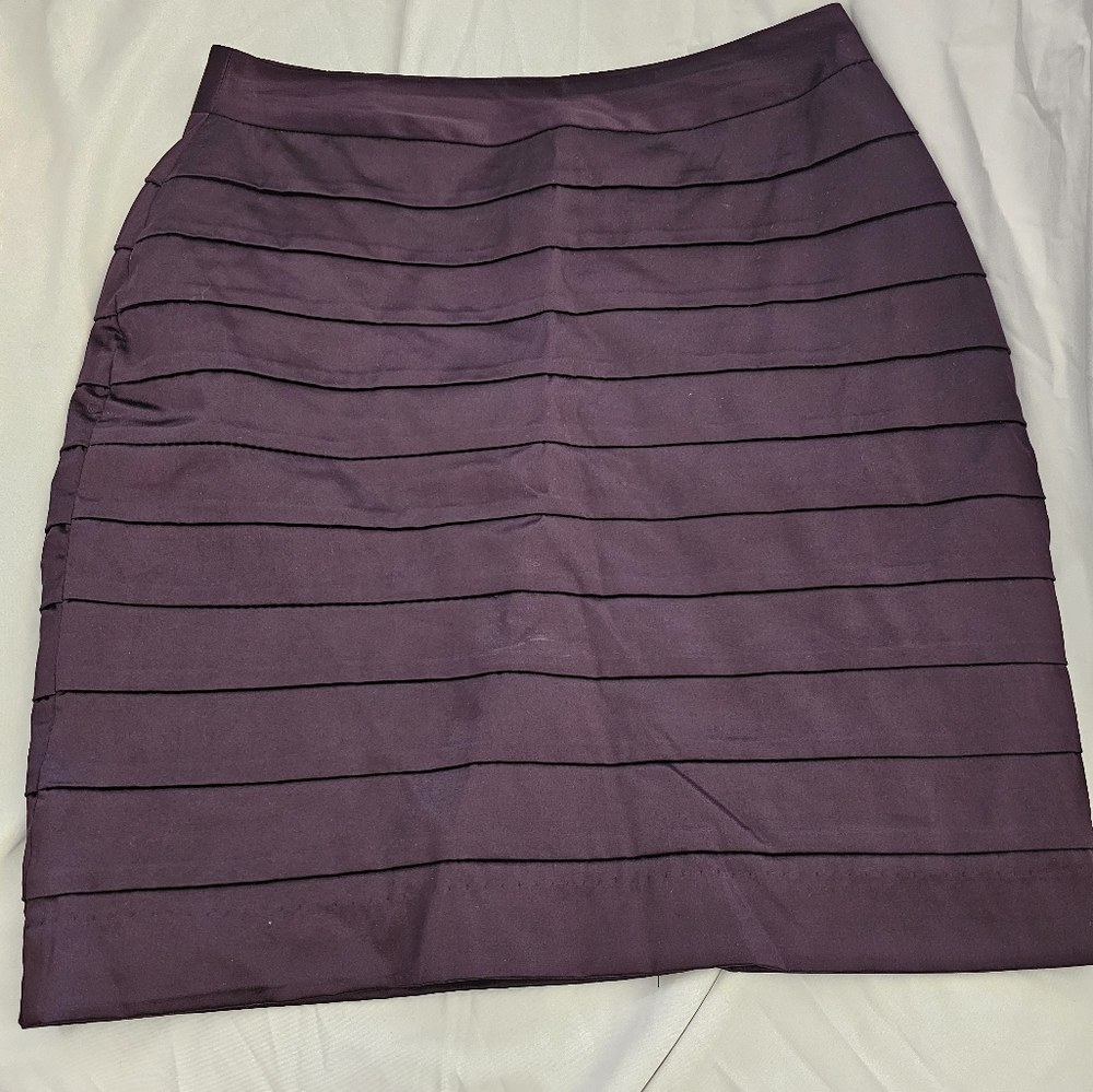 Elegant Purple Skirt